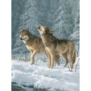  Plush Wolf Throw   60 x 80 