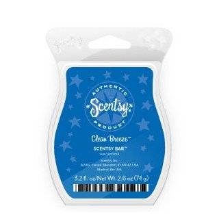 Scentsy Wonky Shapes Plug in Scented Wax Warmer