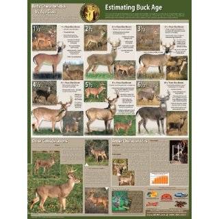 Selective Buck Harvest Poster