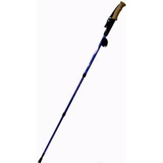   Silver Expandable Walking Stick with Compass Patio, Lawn & Garden