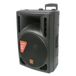  Mr. Dj PAS3000AMP Professional Dual 15 Inch Speaker 3000 
