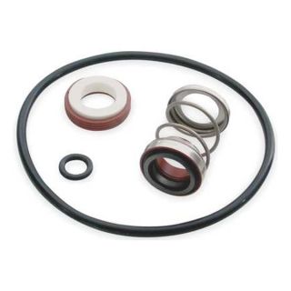 Dayton 4XZ44 Viton Seal Kit