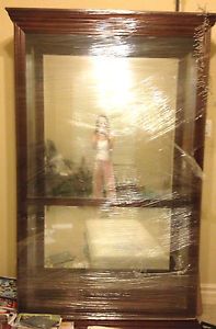 Large All Glass Display Curio Cabinet with Lights Cherry Wood