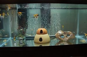 40 Gallon Breeder Aquarium Fish Tank Free EXTRAS 25lb Gravel Filters Air Curtain