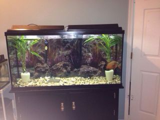 65 and 10 Gallons Tanks
