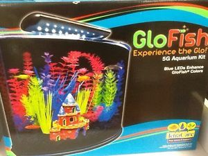 Tetra 29045 900 Glofish 5gal Aquarium Kit with Blue LED Light