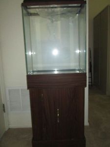 20 Gallon Fish Tank with Stand Filter