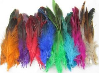 Fashion Mixed Colors 20pcs Grizzly Feathers Hair for Extensions 6 8inch Long 1