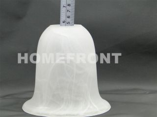 4 Replacement Glass Shade Satin Frosted White Glass