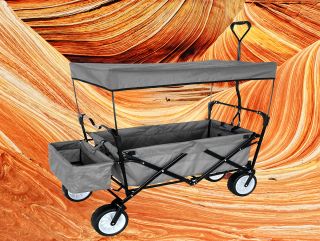 Outdoor Folding Wagon Canopy Garden Utility Travel Cart Large Beach Tires Gray