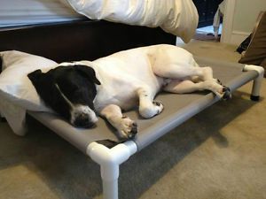 Custom Made USA Pet Beds Dog Cots Mesh Outdoor Dog Beds Cat Bed 11 Colors 28x40