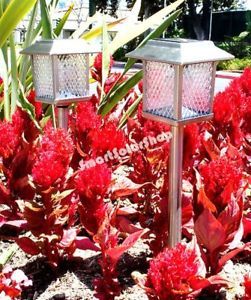 4 Outdoor Stainless Steel Square Solar Landscape Lights