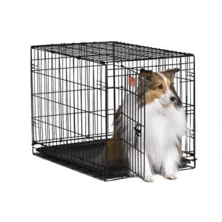 Midwest Pets Icrate Single Door Dog Crate