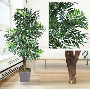 One 6' Phoenix Palm x5 Artificial Tree Silk Plant New 958