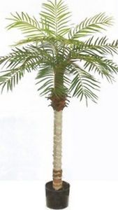 One 5 Foot Artificial Phoenix Palm Tree Potted Plant Home Decor Arrangement