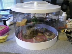 Hermit Crab Cage Habitat
