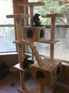 73" Premium Extra Large Cat Tree Cat Condo Cat Toys Pet Supplies Pet Activities