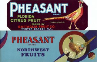Florida Fruit Crate Labels