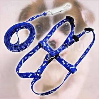 Pet Dog Puppy Pulling Nylon Leash Lead Harness Rope Blue