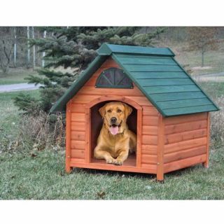 Insulated Dog House