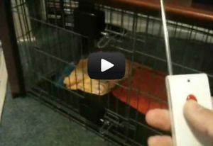 Easyout Remote Control Pet Dog Cat Crate Pen Door Opener Release Double Latch