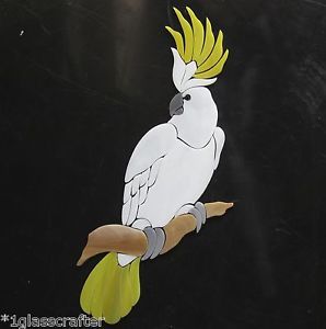 Precut Stained Glass Art Kit Cockatoo Parrot Mosaic Stepping Stone Tile Inlay