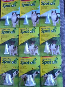 Bob Martin Flea Tick Spot on Treatment Small Large Dog Cat 1 2 3 4 Packs