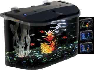 Aquarius Rounded 5 Gallon Aquarium Kit Fish Tank LED Light Hood Beta Gift Kids