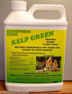 Kelp Green Organic Based Plant Food Seaweed Fish New Southern AG Quart 32oz