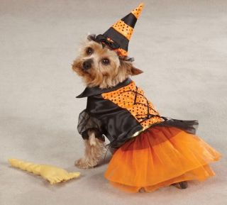 Casual Canine Witch Dog Halloween Costume XS XL