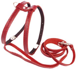 Leather Dog Cat Puppy Harness Leash Set 13" 16" Size Small