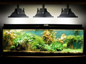 10W LED Aquarium Flood Light Cool White High Power Fish Tank Lighting Reef Plant