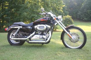 09 Harley Sportster 1200 Custom Only 3 800 MI Looks New Fuel Injected Engine