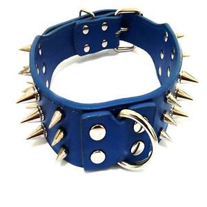 Blue Spiked Dog Collar