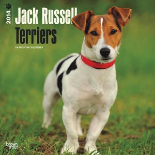 Jack Russell Terriers 2014 Wall Calendar 1465010904