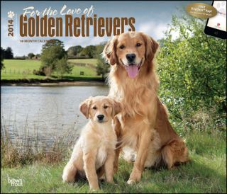 For The Love of Golden Retrievers 2014 Deluxe Wall Calendar 1465017054