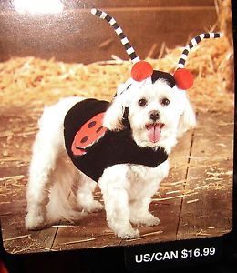 Top Paw Pet Halloween Dog Pet Costume Lady Bug XXL XL L M s Red Black