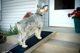 6' PVI Folding Lightweight Aluminum Dog Cat Pet Ramp DR615