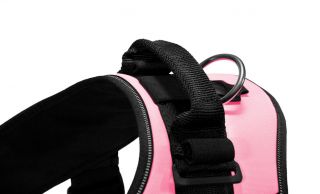 Julius K9 IDC New Dog Pet Safety Harness Pink 12 Colors Avail Attach Leash Lead