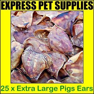 25 x Extra Large Pigs Ears Dog Treat Reward Chew Food Snack