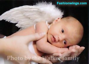 0 6M Newborn Baby Costume Feather Angel Wings Free Halo Bonus Photo Frame
