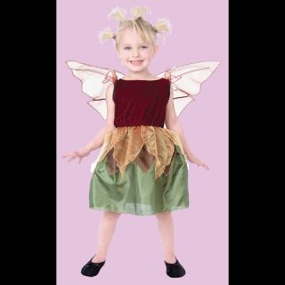 Autumn Fairy Age 2 4 Halloween Costume Toddler Girl