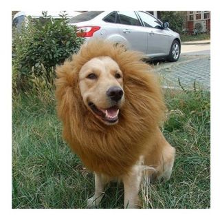 New Pet Costume Lion Mane Wig for Dog Halloween Clothes Festival Fancy Dress Up