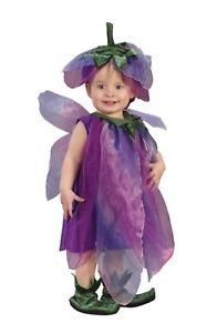 Infant Sugar Plum Fairy Up to 24 MO Halloween Costume