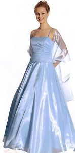 CLEARANCE Sale Ball Gown Dress Party Prom Pageant Evening Baby Blue 2XL 16