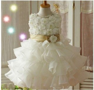 Pretty Toddler 3D Flower Tutu Layered Skirt Princess Party Bow Girl Formal Dress