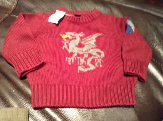 Baby Gap Boys Dragon Sweater NWTS Size 12 18M