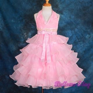 Pink Wedding Flower Girl Pageant Party Formal Occasion Dress Size 2T 3T FG131A
