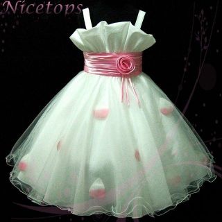 P818 Babies Kid Pink White Wedding Party Bridesmaid Flower Girls Dress Size 2 3T