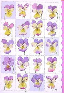 Marjolein Bastin Purple Yellow White Viola Flower Happy Birthday Greeting Card